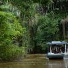 Bootsfahrt im Regenwald
