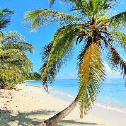 Beste Costa Rica Reisezeit » Informationen zur Regenzeit und Klima » Pazifikküste & Karibikküste