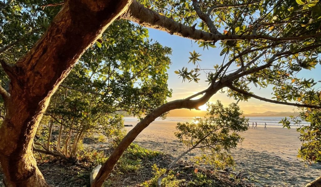 Nicoya
