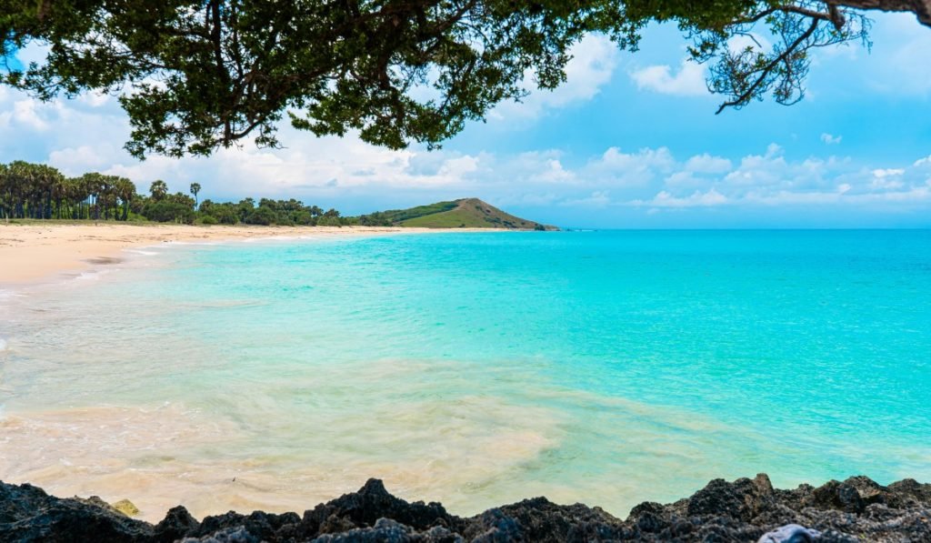 Playa Flamingo