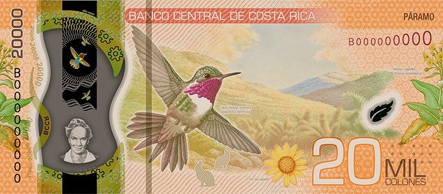 20 mil reverso polimero