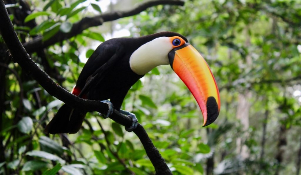 Unvergessliches Costa Rica mit Kindern Tipps fuer Ihre Costa Rica Reise 6
