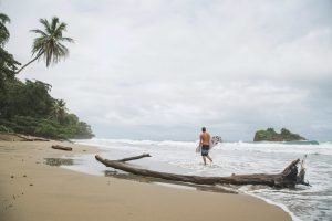 Die Karibikküste von Costa Rica Ein Paradies fur Naturliebhaber und Abenteurer