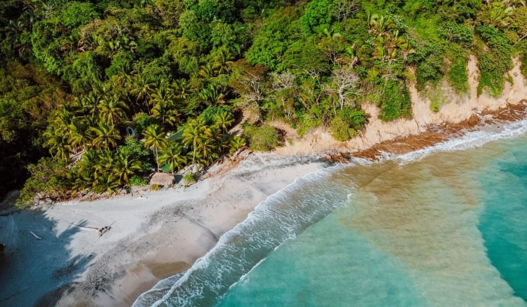 Die Karibikkueste von Costa Rica Ein Paradies fur Naturliebhaber und Abenteurer 17
