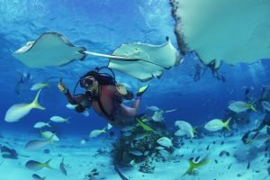 tauchen & Schnorcheln in Costa Rica – Tauchplätze & Beste Zeiten
