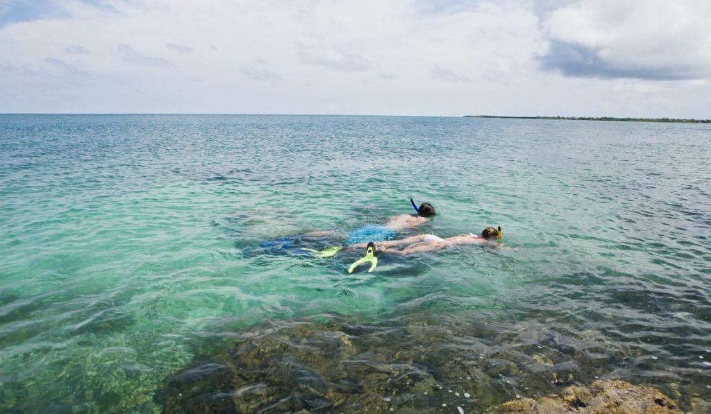 auchen Schnorcheln in Costa Rica – Tauchplaetze Beste Zeiten 13
