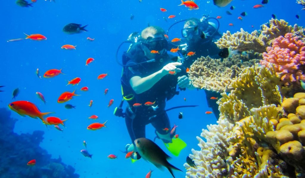 auchen Schnorcheln in Costa Rica – Tauchplaetze Beste Zeiten 2