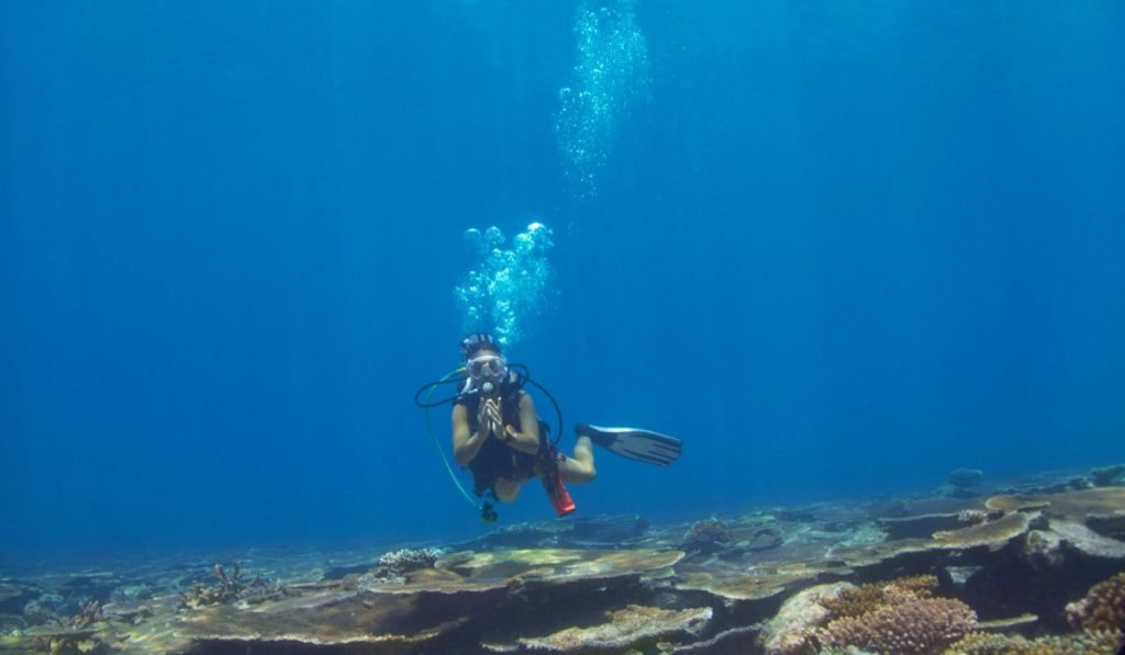 auchen Schnorcheln in Costa Rica – Tauchplaetze Beste Zeiten 4