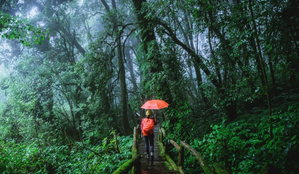 Costa Rica Regenzeit Wetter Reisezeit GrueneSaison erleben 3