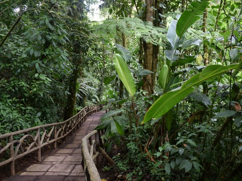 2 Wochen Best of Costa Rica Rundreise (9)