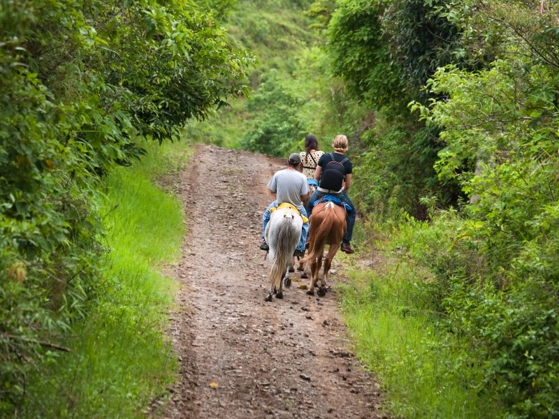 Costa Rica Urlaub Kosten: Wie teuer ist eine Rundreise? 6 Costa Rica Urlaub Kosten Wie teuer ist eine Rundreise 19