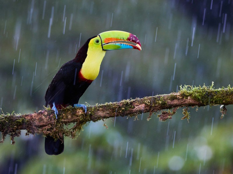 Kombireise Costa Rica und Peru (7)