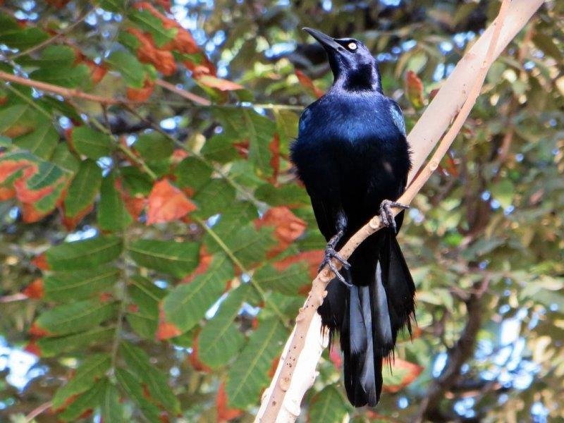 Kombireise Costa Rica und Panama