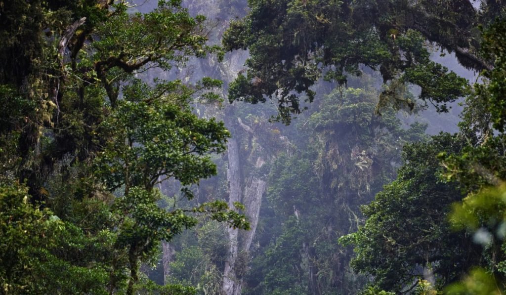 Carara Nationalpark