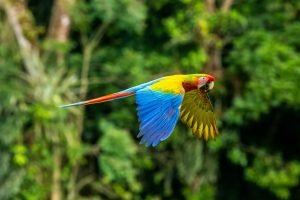 Costa Rica
