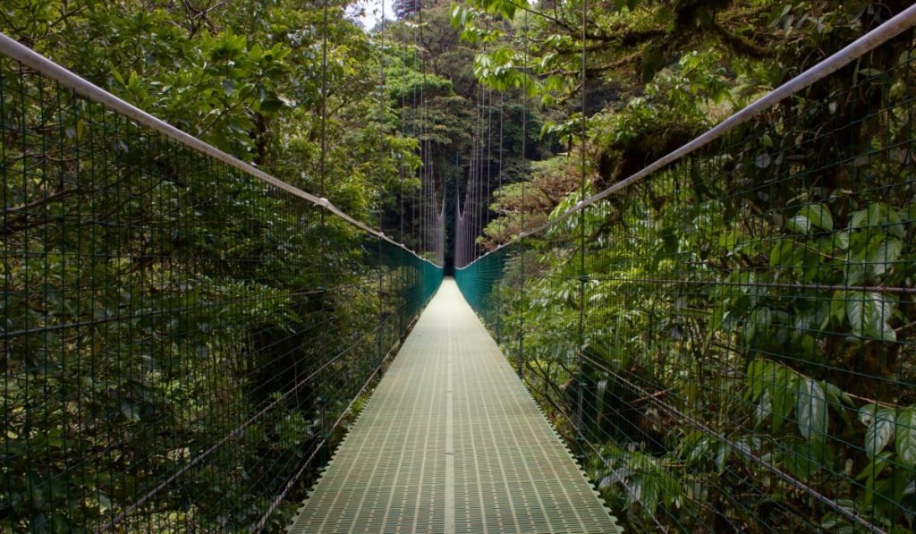Nebelwald Monteverde Costa Rica Sehenswuerdigkeiten