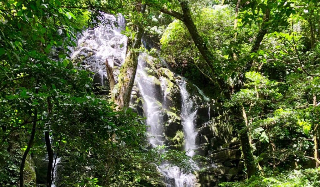 Rincon de la vieja 3